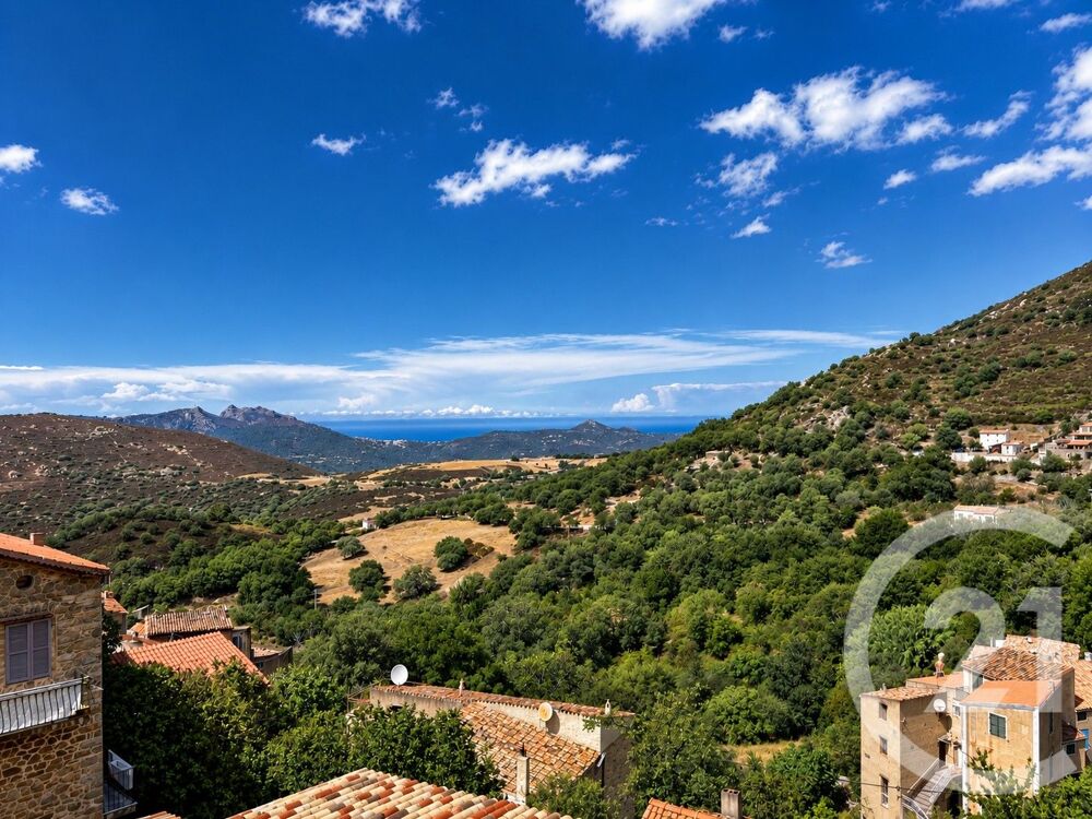 vente Maison - 4 pièce(s) - 100 m² Nessa (20225)