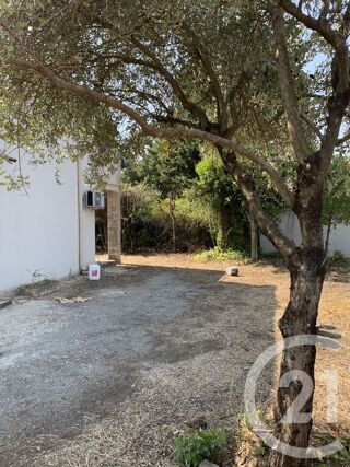  Appartement � louer 4 pi�ces 80 m�