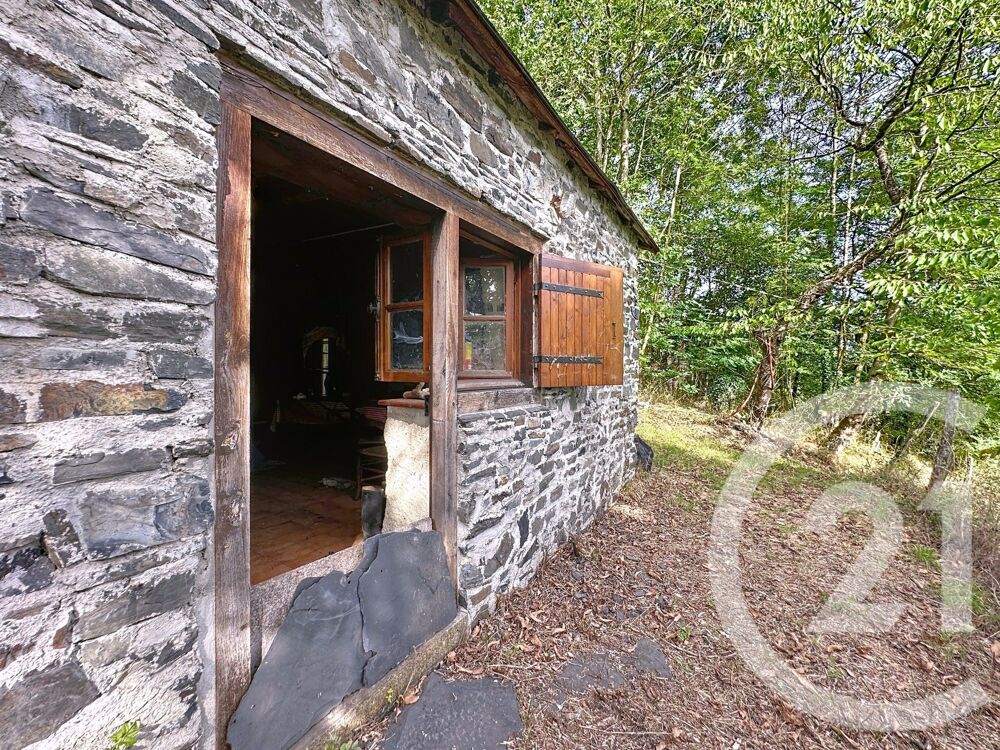 vente Maison - 1 pièce(s) - 29 m² Orgibet (09800)