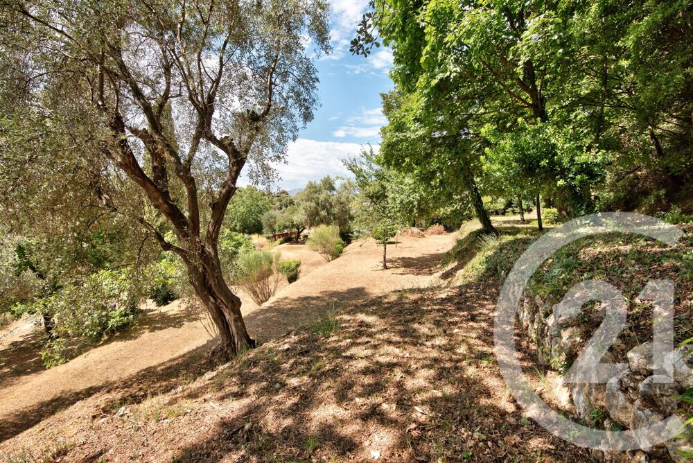 vente Terrain - 11600 m² Aspremont (06790)