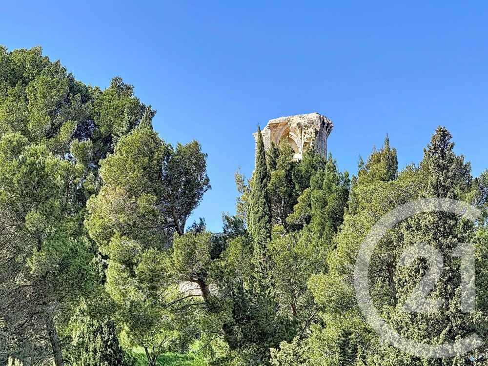 � vendre  Maison Ch�teaurenard (13160)