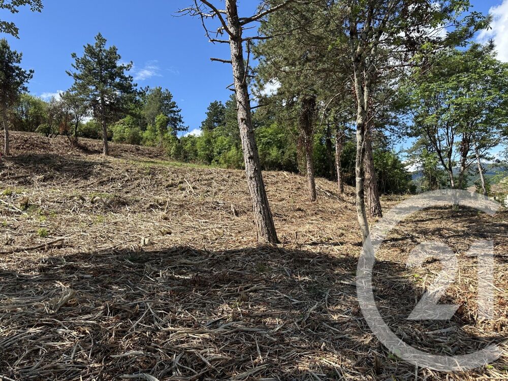 vente Terrain - 3660 m² Alès (30100)