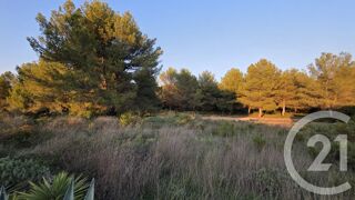  Terrain � vendre 5245 m�