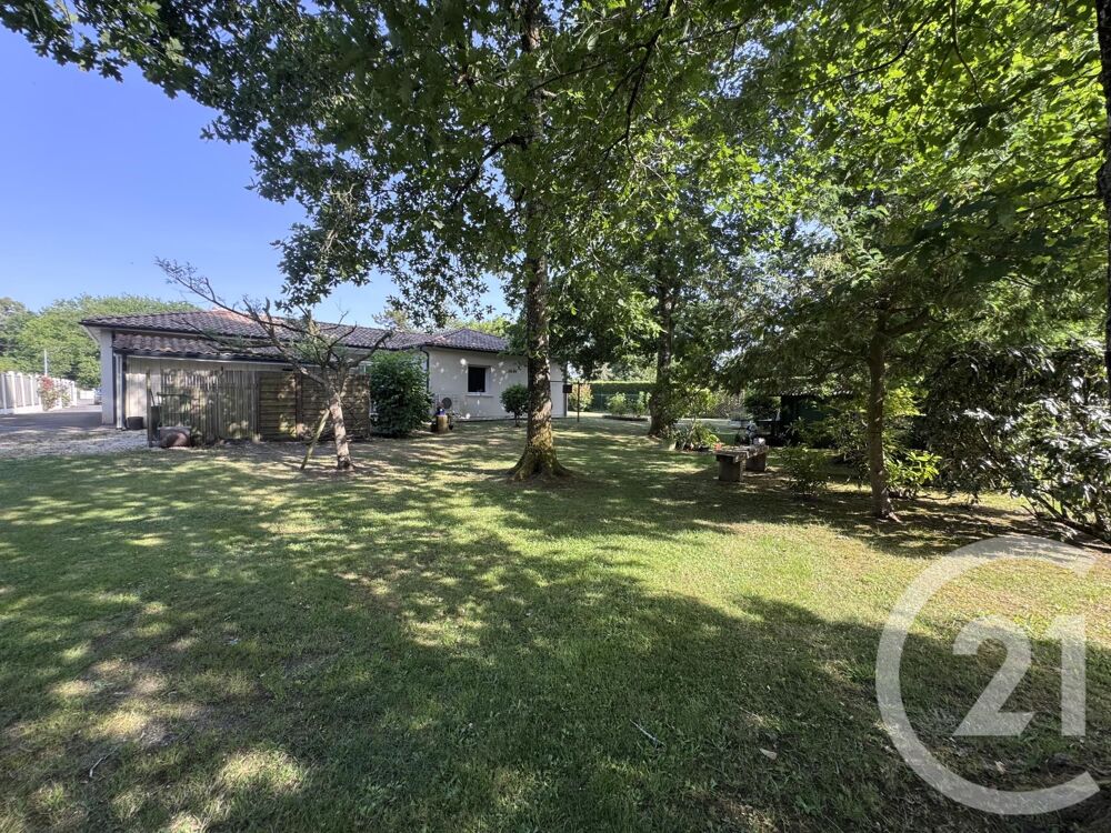 vente Maison - 5 pièce(s) - 190 m² Hourtin (33990)