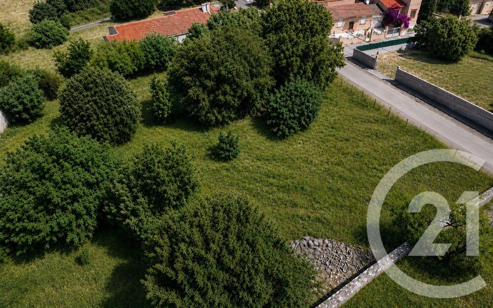vente Terrain - 1105 m² Calenzana (20214)