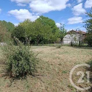  Terrain à vendre 983 m²