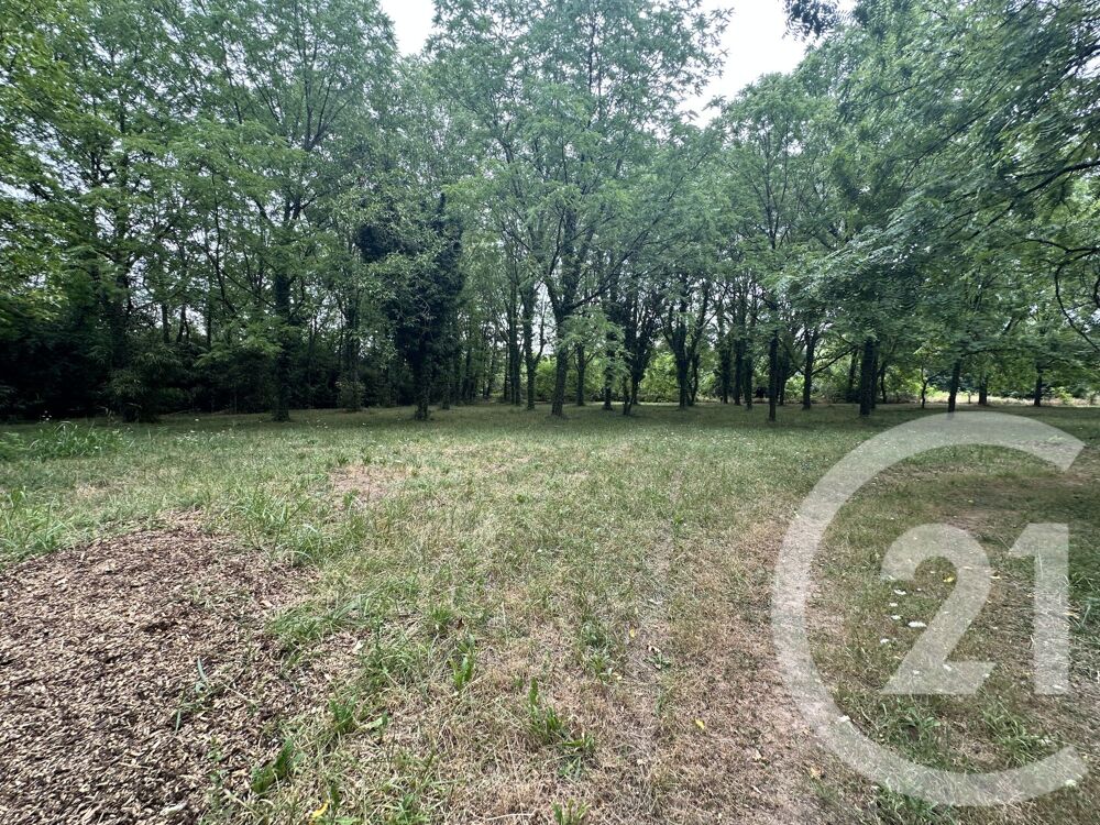 vente Terrain - 11849 m² Albi (81000)