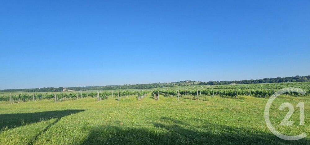 vente Maison - 1 pièce(s) - 290 m² Saint-Martial (33490)