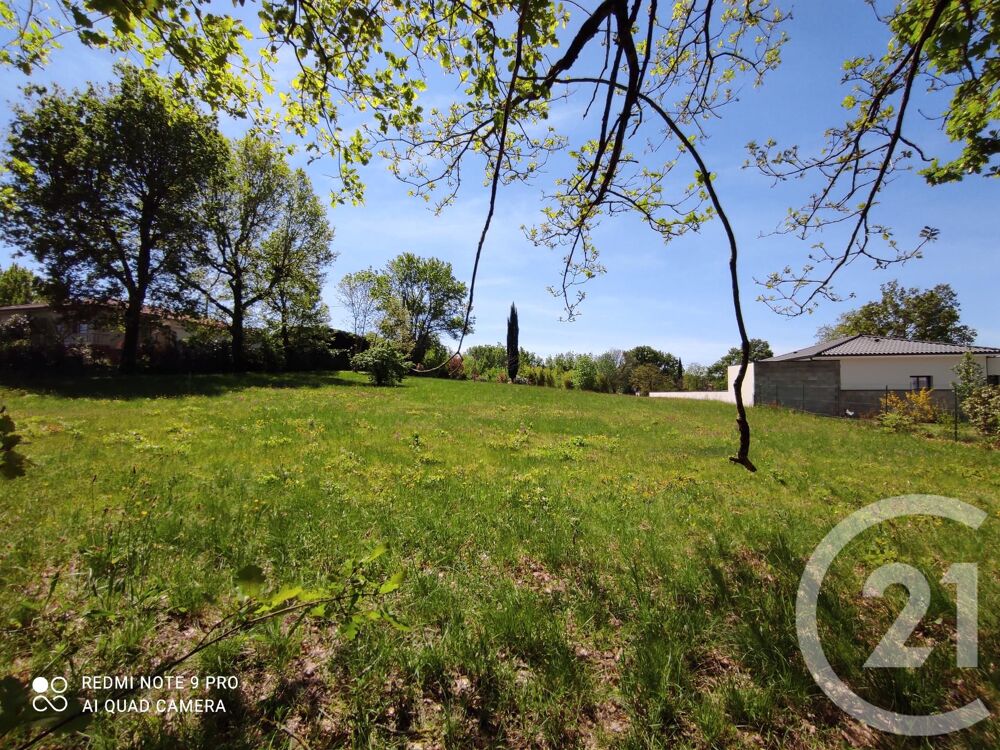 vente Terrain - 3283 m² Saïx (81710)