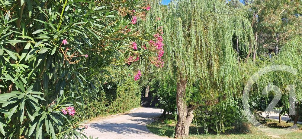 � vendre  Maison Saint-Cyprien (66750)