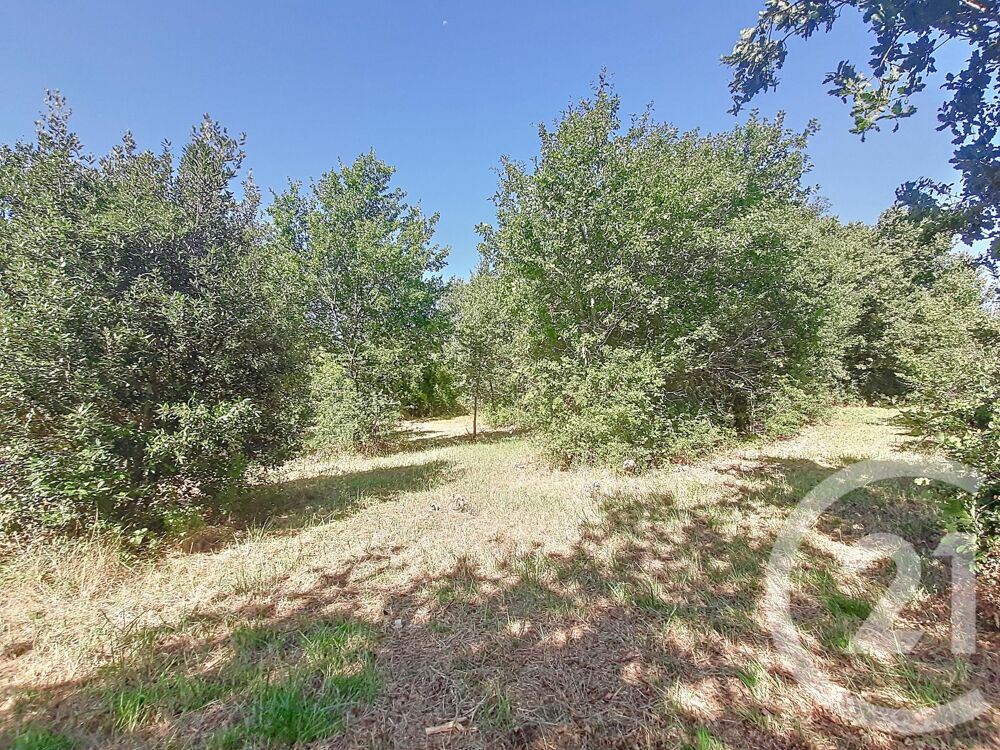 vente Terrain - 6300 m² Auterive (31190)