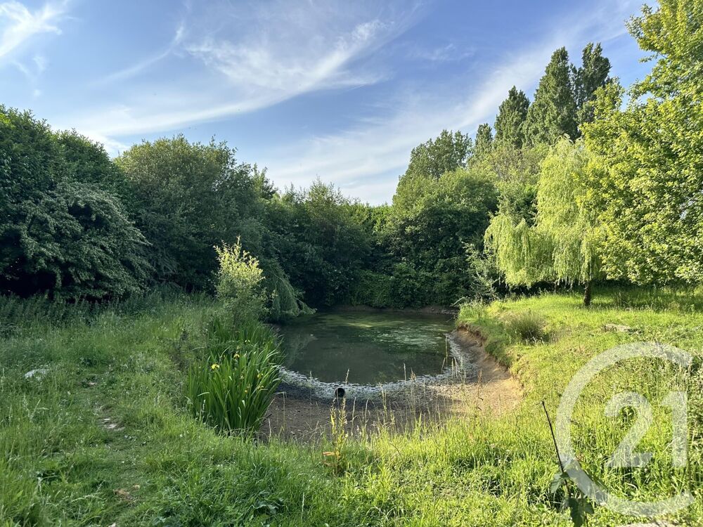  vendre  Maison Zutkerque (62370)