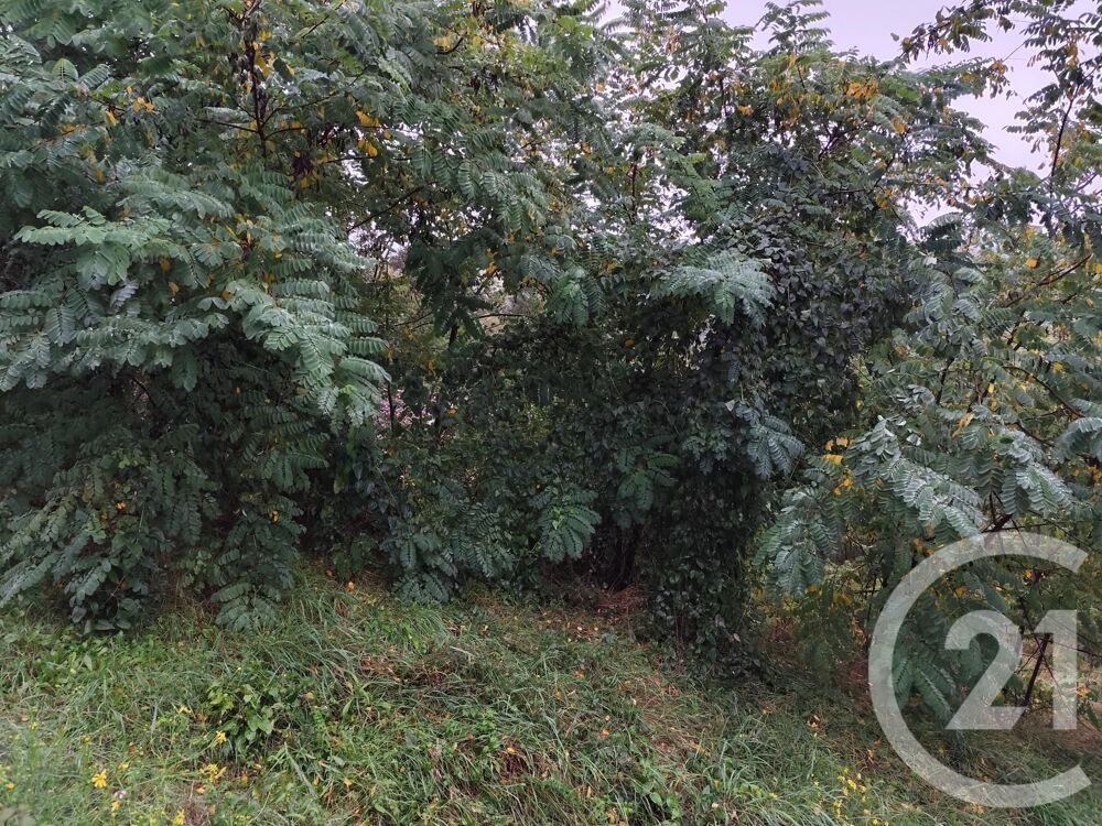 vente Terrain - 719 m� Burlats (81100)