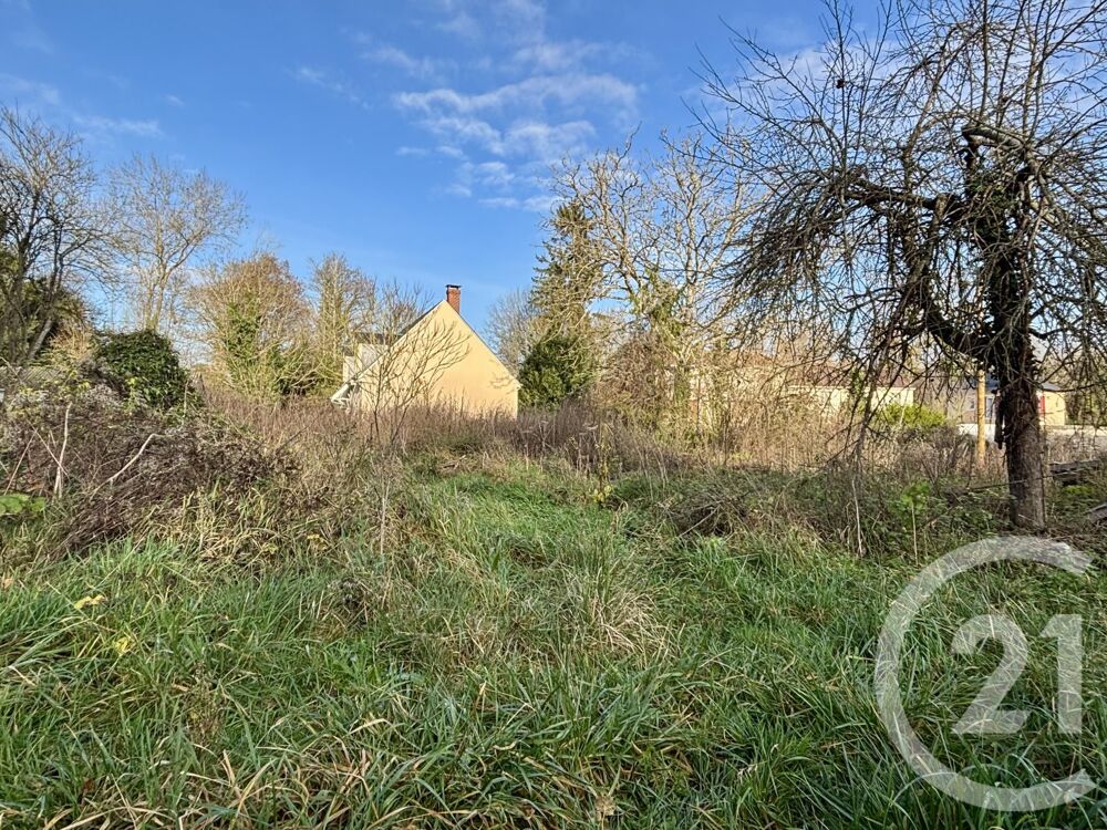vente Terrain - 720 m² Malesherbes (45330)