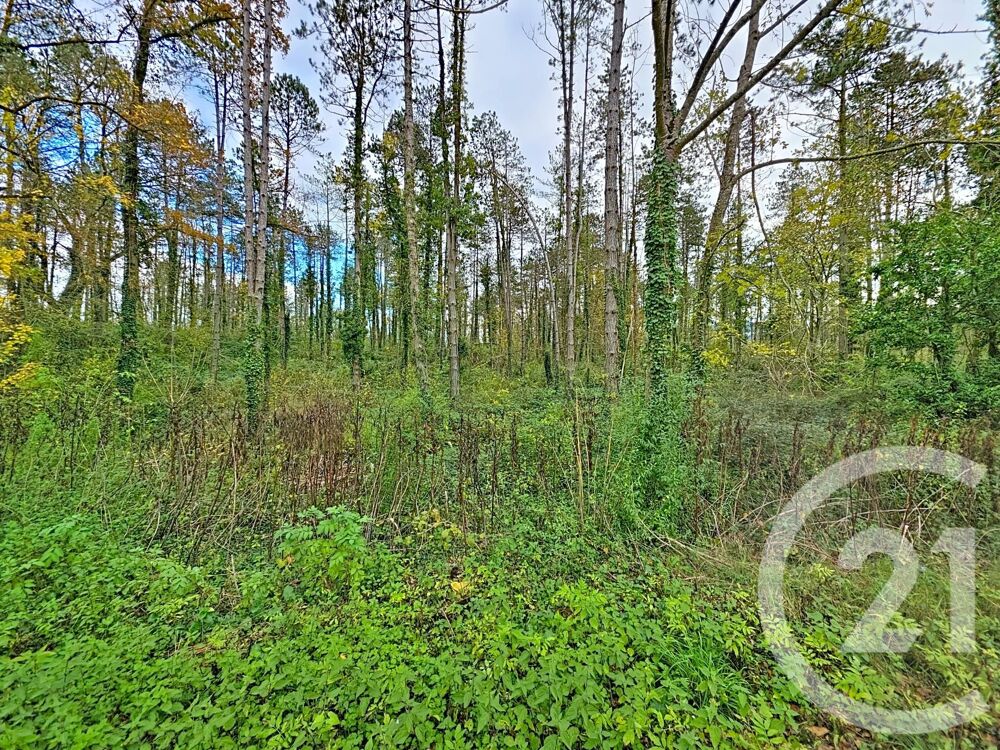 vente Terrain - 45093 m� Montjoie-en-Couserans (09200)