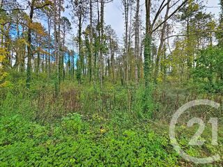  Terrain � vendre 45093 m�