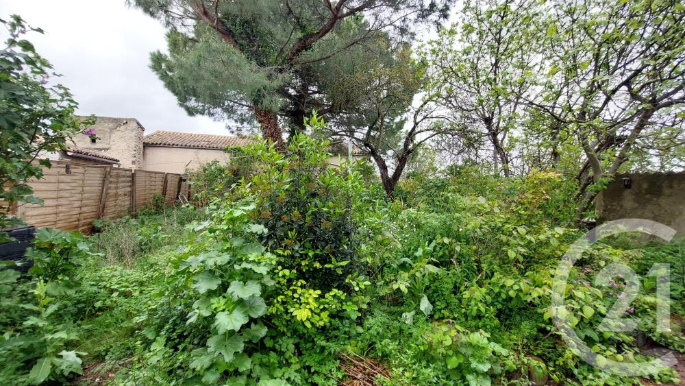 vente Maison - 7 pièce(s) - 250 m² Malviès (11300)