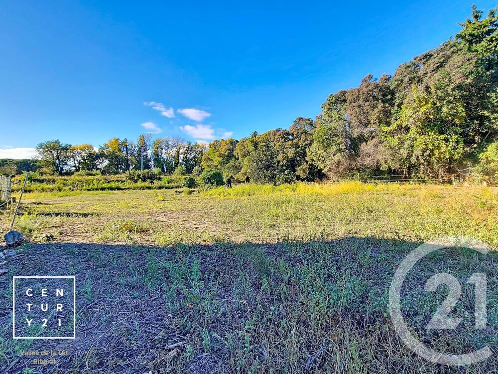 vente Terrain - 708 m² Millas (66170)