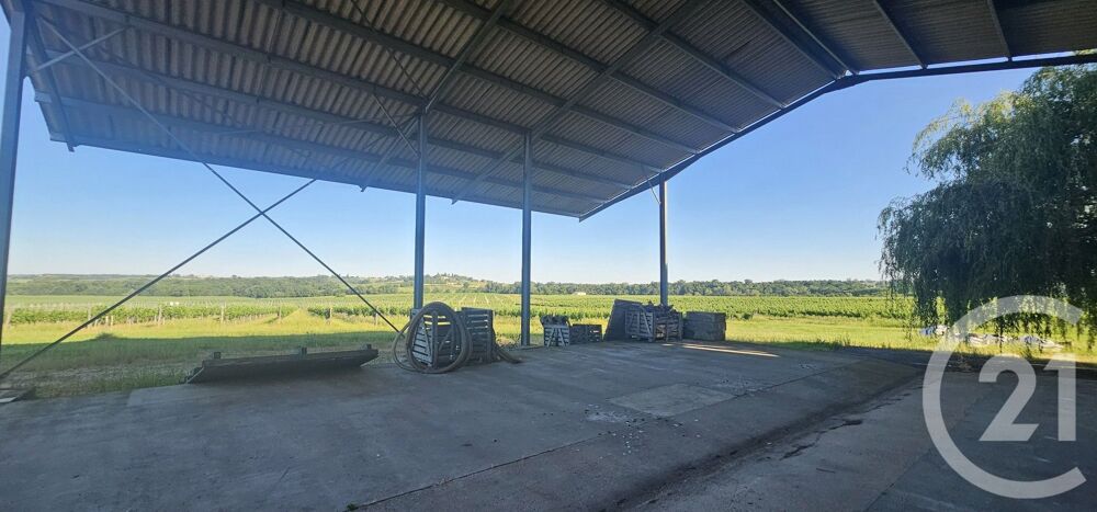 vente Maison - 1 pièce(s) - 290 m² Saint-Martial (33490)