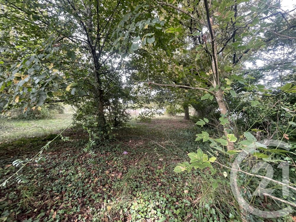 vente Terrain - 2491 m² Montpon-Ménestérol (24700)