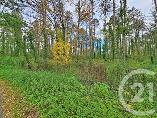  Terrain � vendre 45093 m�