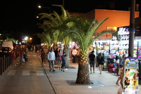  Appartement � louer 3 pi�ces 45 m�