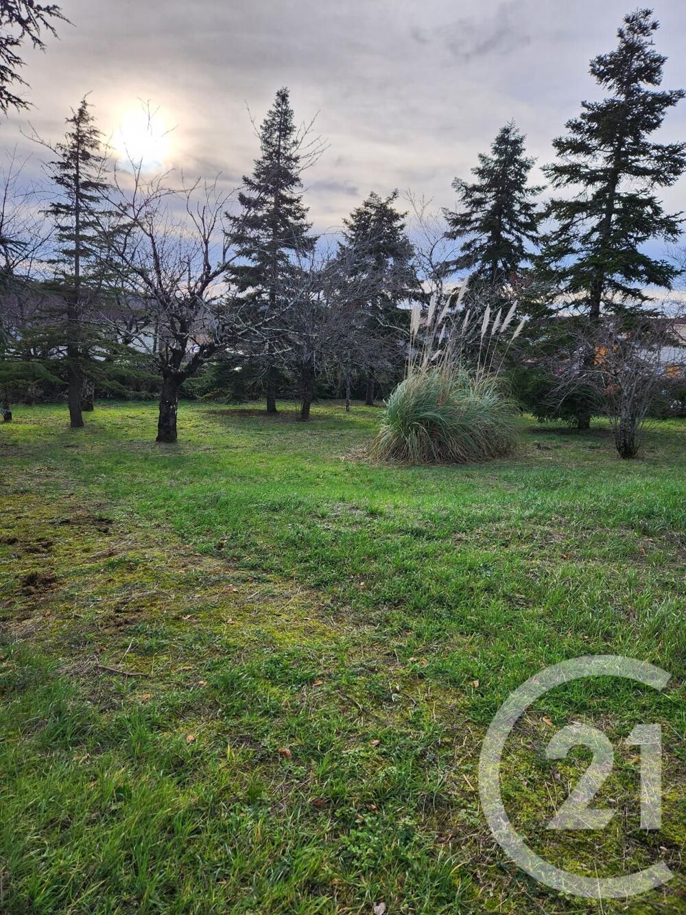 vente Terrain - 1237 m² Castres (81100)