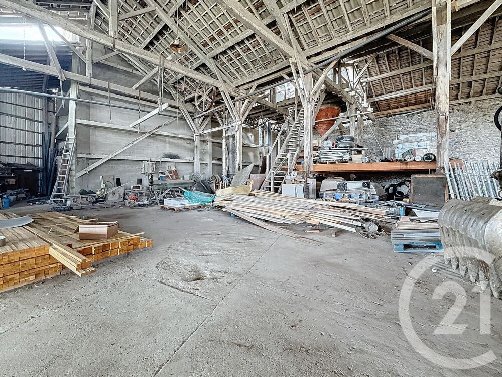 vente Autres - 1000 m² Prat-Bonrepaux (09160)