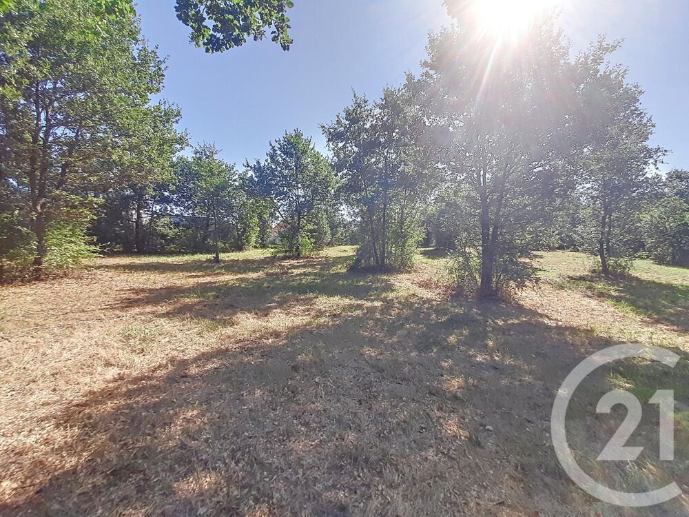vente Terrain - 6300 m² Auterive (31190)