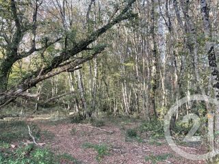  Terrain à vendre 40623 m²