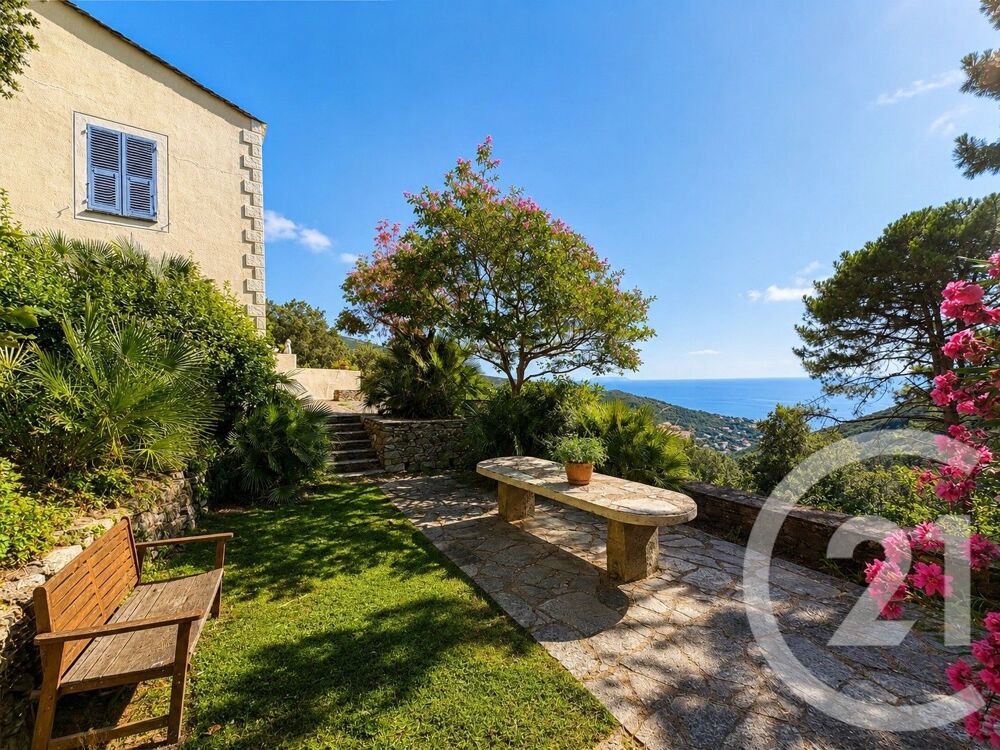 vente Maison - 9 pièce(s) - 275 m² San-Martino-di-Lota (20200)