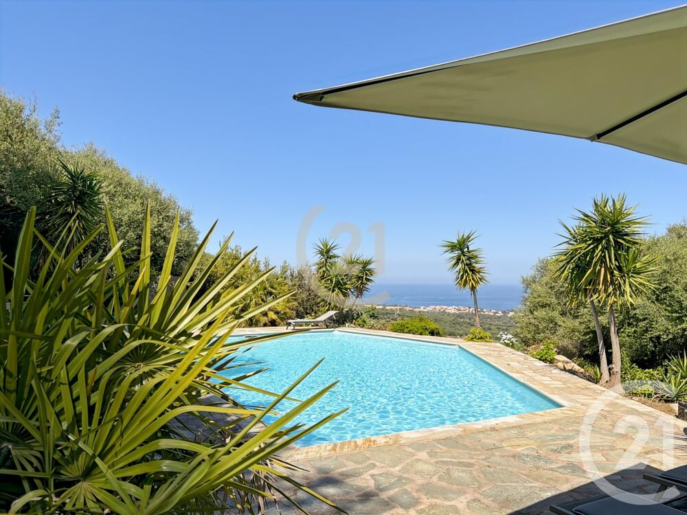 � vendre  Maison Monticello (20220)