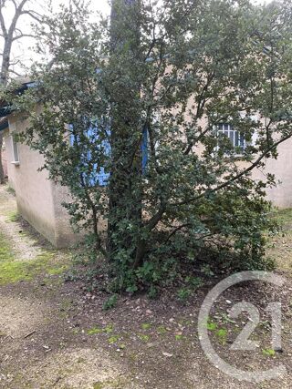  Appartement � louer 2 pi�ces 40 m�