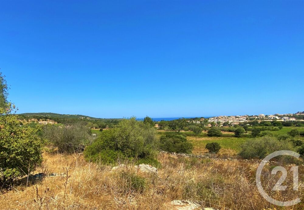 vente Terrain - 5245 m² Belgodère (20226)
