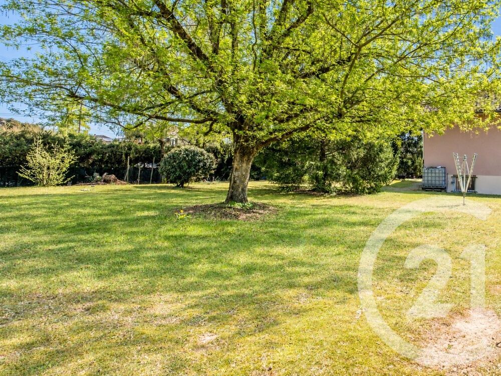 vente Terrain - 1085 m² Montmerle-sur-Saône (01090)