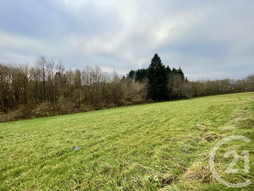 vente Terrain - 4590 m² Hadol (88220)