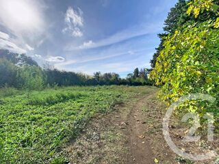  Terrain à vendre 981 m²