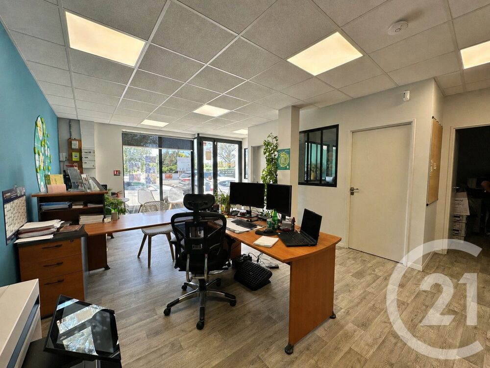 vente Immeuble - 250 m² Albi (81000)