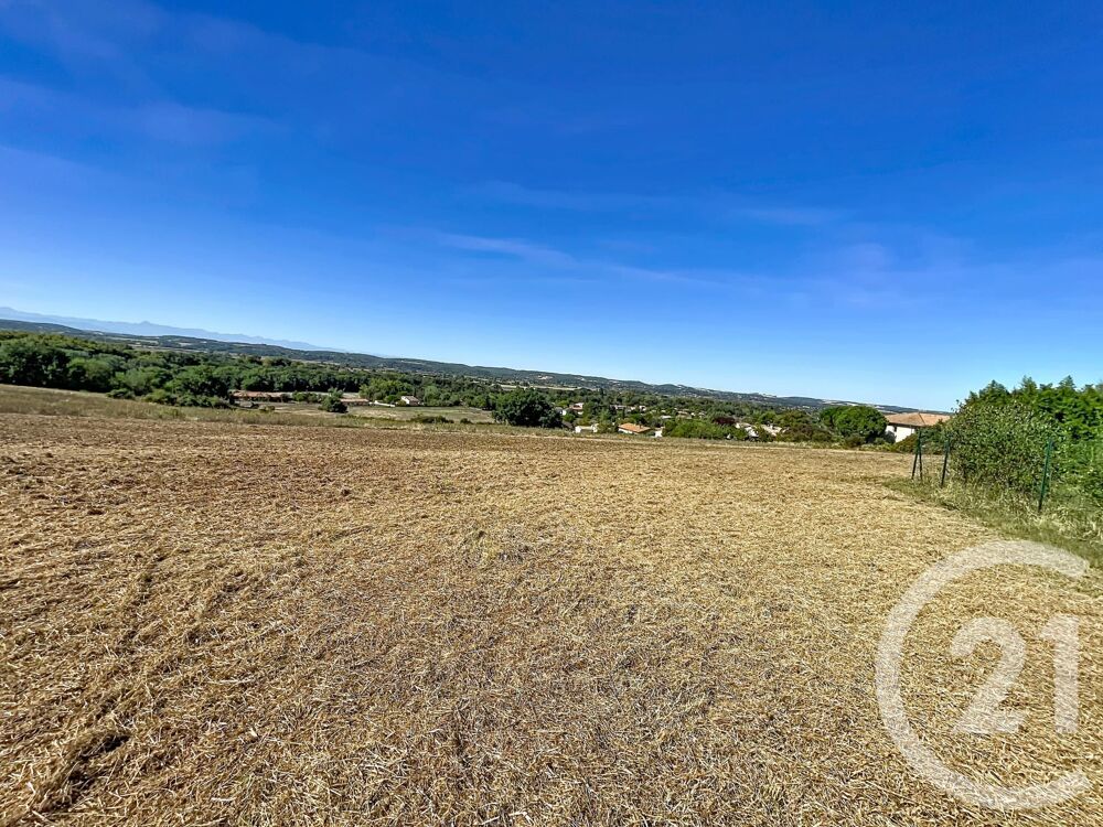 vente Terrain - 4920 m² Auterive (31190)