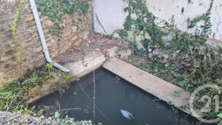  Maison � vendre 6 pi�ces 184 m�