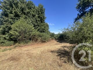  Terrain � vendre 8775 m�