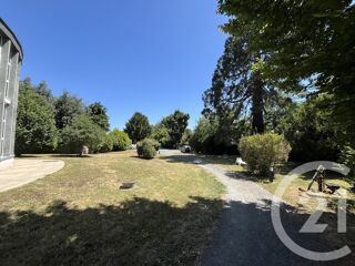  Appartement à louer 1 pièce 20 m²