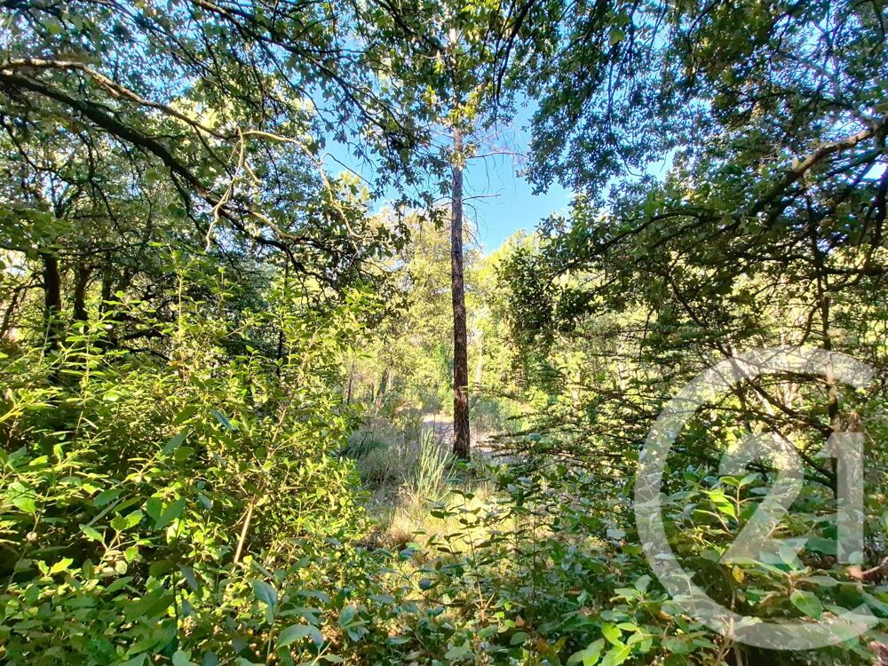 vente Terrain - 1040 m² La Grand-Combe (30110)