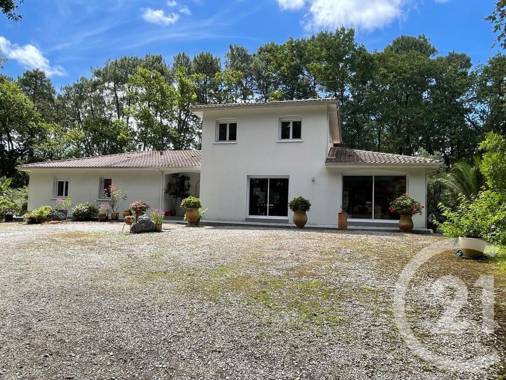 à vendre  Maison Dax (40100)