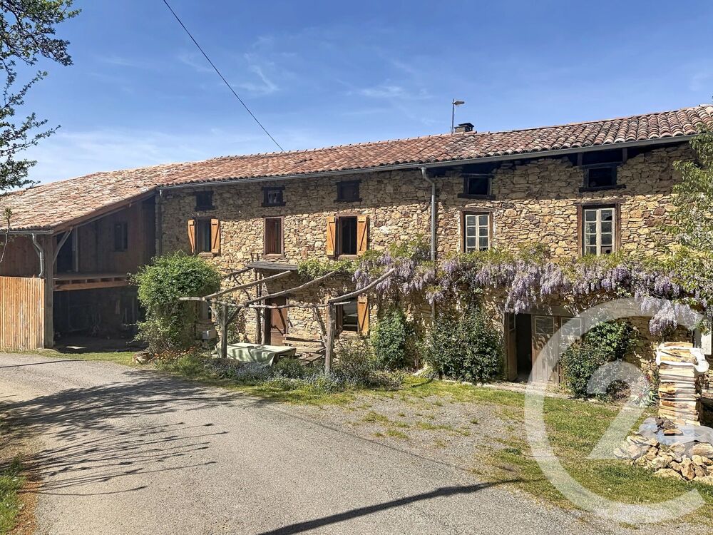vente Maison - 6 pièce(s) - 310 m² Contrazy (09230)
