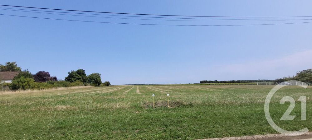 vente Terrain - 2000 m² Aufferville (77570)