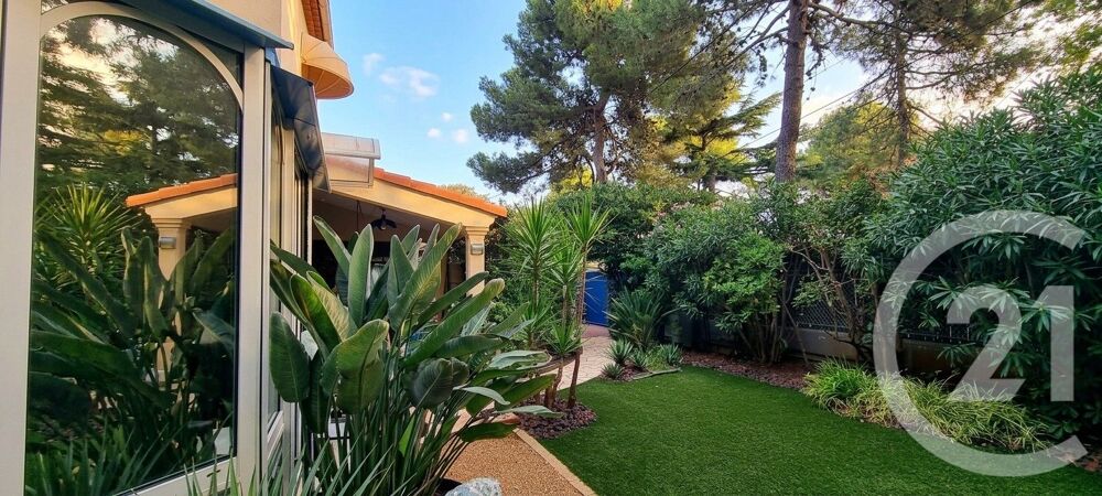 RARE & EXCEPTIONNEL MAISON TYPIQUE ARGELÉSIENNE À 50M D....
