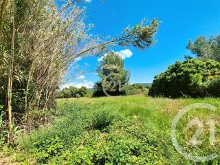  Terrain  vendre 3958 m