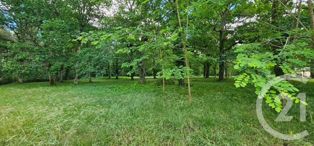 vente Maison - 4 pièce(s) - 136 m² Noaillan (33730)