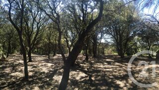  Terrain � vendre 7237 m�